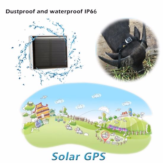 Portable Solar Power Charging Pets GPS Tracker V26C