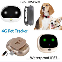 //rprrwxhjijrlk5o.leadongcdn.com/cloud/lpBqkKqqRlqSnkjmjinq/Pets-GPS-Tracking-with-Pet-Findling-LED-Light0.jpg