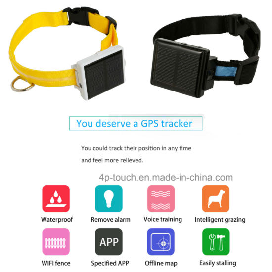 China Factory High Quality 2G Solar-Powered GPS Tracker for Pet with Multiple Accurate Positioning (V26)