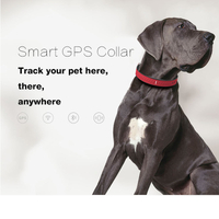 Real Time Satellite Worlds Smallest Google Map GPS Tracker 2g Mini GPS Tracking Device