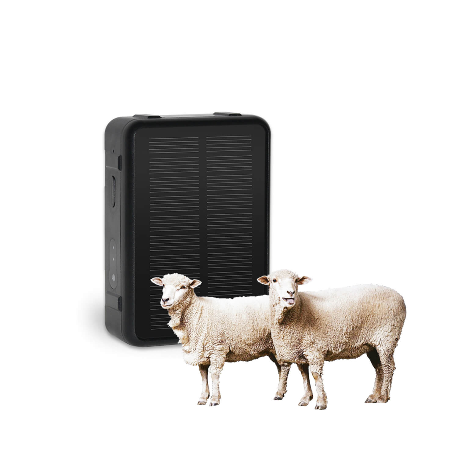 4G Solar Power Animal GPS Tracker with Temperature Sensor V44
