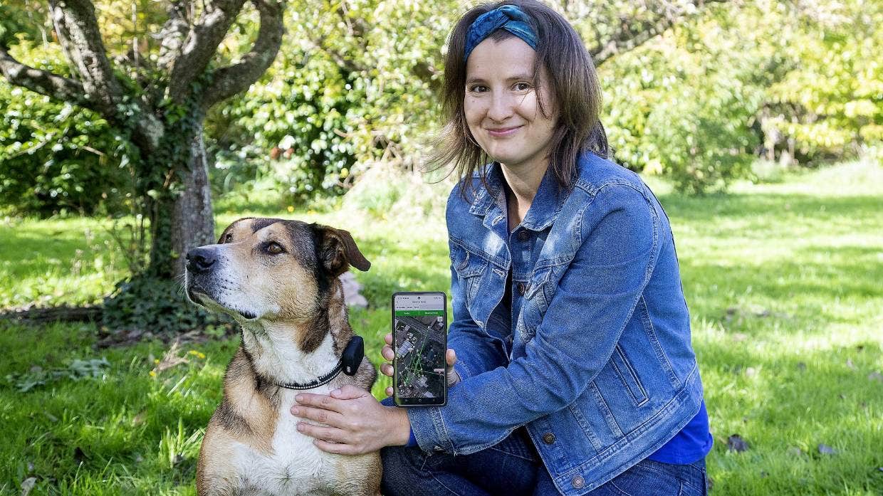 Mini traceur GPS Pets Care-Pets