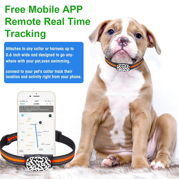 Waterproof LTE 4G GPS pet tracker for dog animal anti-lost real time pet tracking Y34